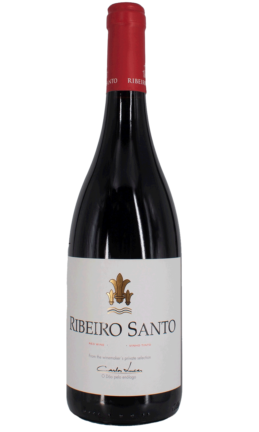 Carlos Lucas Ribeiro Santo Tinto
