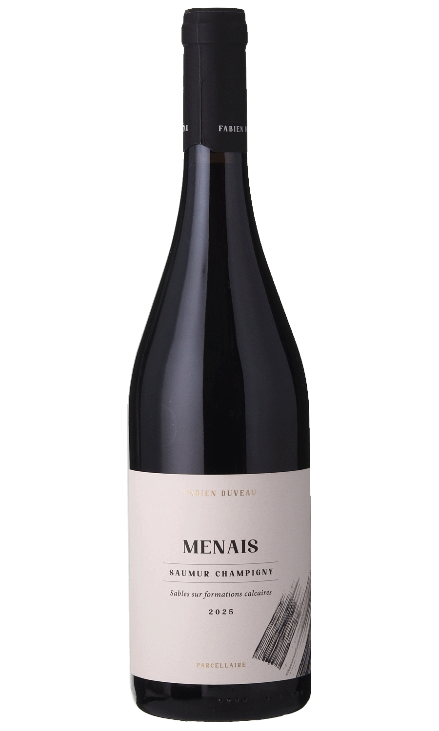 Fabien Duveau Saumur Champigny Menais