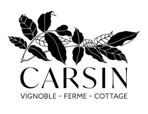Château Carsin
SARL