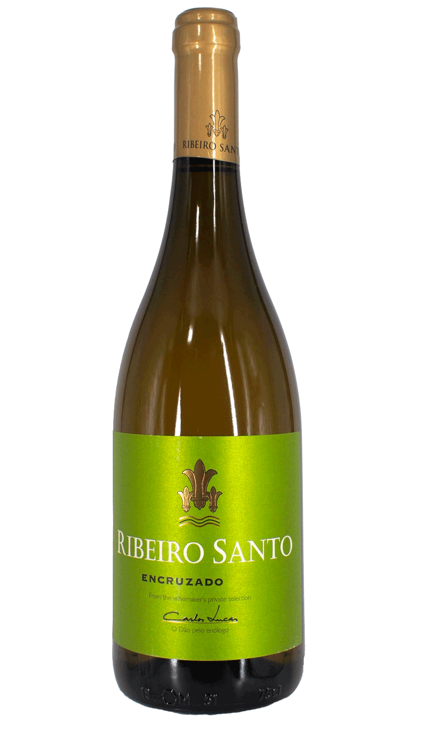 Carlos Lucas Ribeiro Santo Encruzado